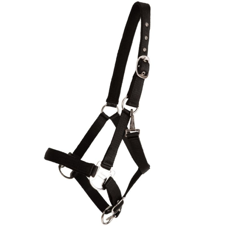Halster Double Buckle Zwart in de groep Paardenuitrusting / Halsters / Stof- & Nylon Halsters bij Equinest (246212BA_r)
