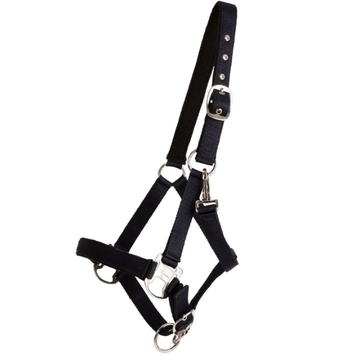 Halster Double Buckle Marineblauw in de groep Paardenuitrusting / Halsters / Stof- & Nylon Halsters bij Equinest (246222NA_r)
