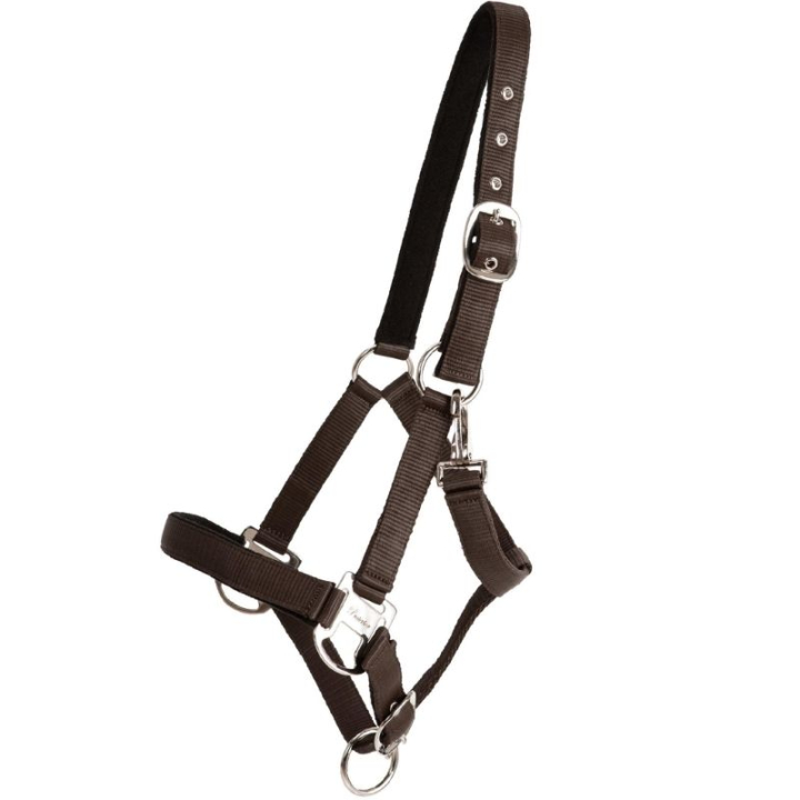 Halster Double Buckle Bruin in de groep Paardenuitrusting / Halsters / Stof- & Nylon Halsters bij Equinest (246252BR_r)