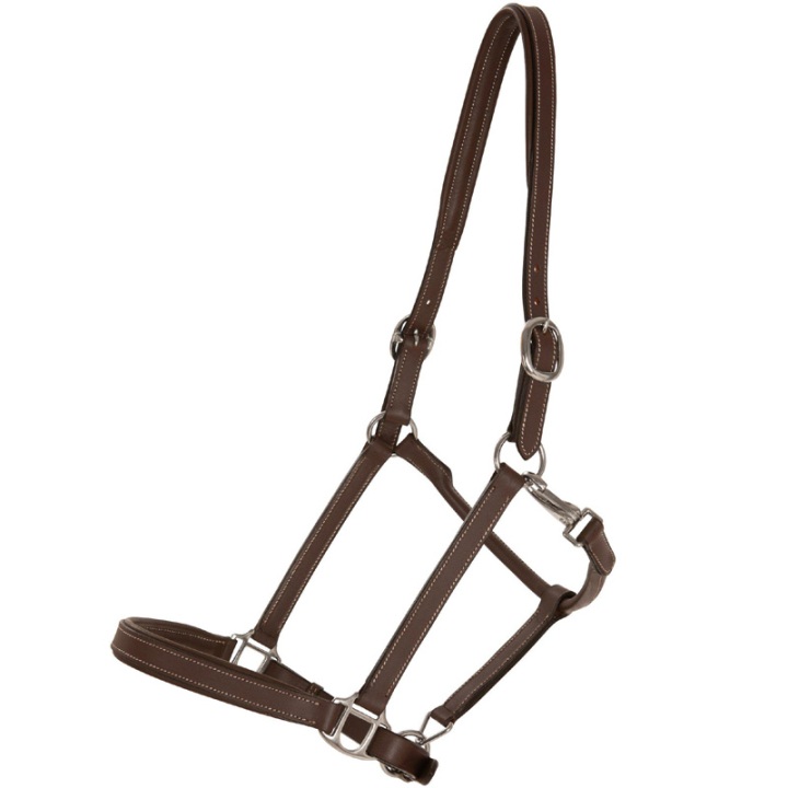 Leren halster Slim Basic Bruin in de groep Paardenuitrusting / Halsters / Leren Halsters bij Equinest (246562BR_r)