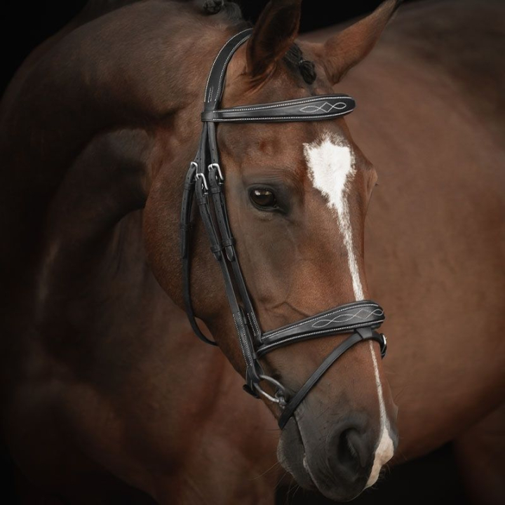 Hoofdstel Supreme Fancy Zwart in de groep Paardenuitrusting / Hoofdstellen & Frontriemen / Hoofdstel bij Equinest (260413BA)