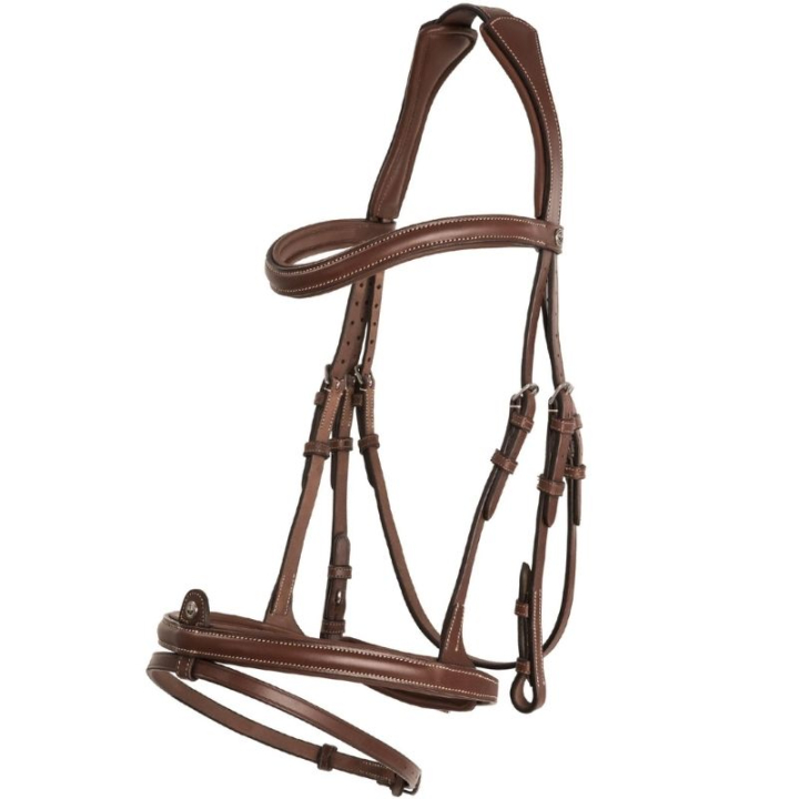 Anatomisch hoofdstel Eccelente Aachen Bruin in de groep Paardenuitrusting / Hoofdstellen & Frontriemen / Hoofdstel bij Equinest (260753BR_r)