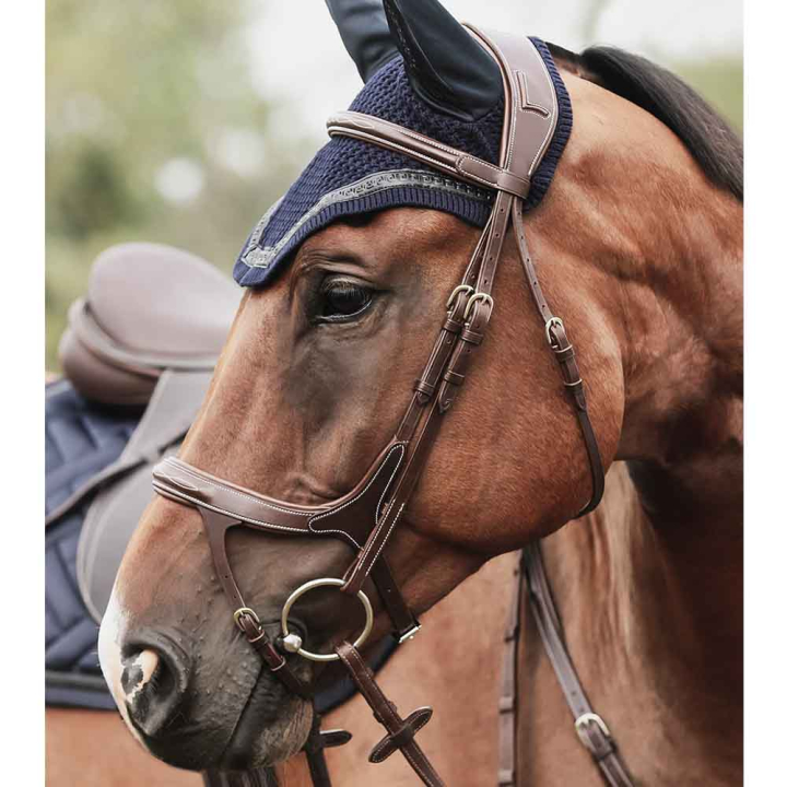 Hoofdstel Fazzino Bruin in de groep Paardenuitrusting / Hoofdstellen & Frontriemen / Hoofdstel bij Equinest (280312Br_r)