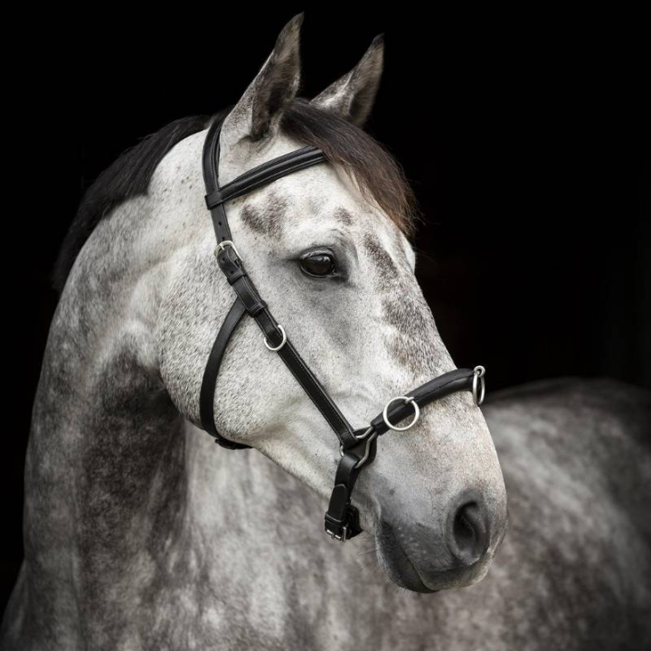 Kaptoom Supreme Zwart in de groep Paardenuitrusting / Longeren & Grondwerk bij Equinest (280613BA_r)