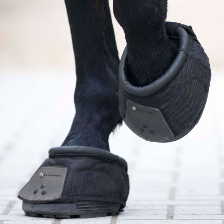 Hoefschoen Therapy & Protection Zwart in de groep Paardenuitrusting / Hoefschoenen & Accessoires bij Equinest (2810014BA_r)