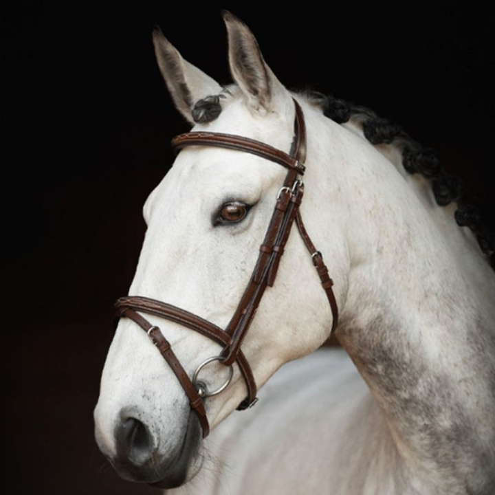Bidsel Fancy Slim Selected Oak Bark/Zilver in de groep Paardenuitrusting / Hoofdstellen & Frontriemen / Hoofdstel bij Equinest (281152OBSI_r)