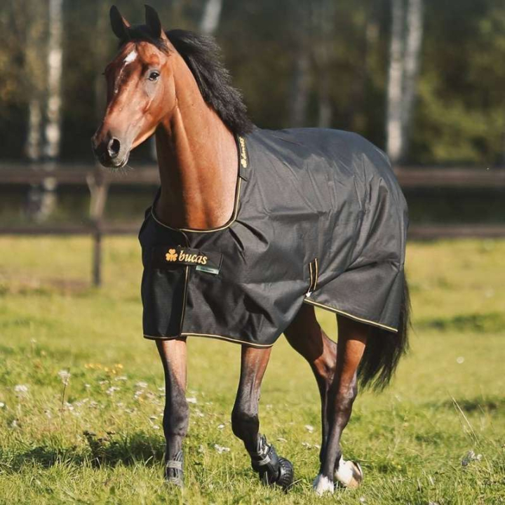 Buitendeke Irish Turnout 100g Zwart/Goud in de groep Paardendekens / Buitendekens / Overgangsdekens bij Equinest (3231522BAGO_r)