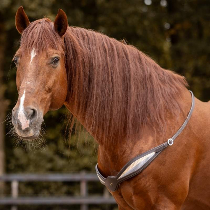 Halsring Leer Whisper NH Bruin in de groep Paardenuitrusting / Halsringen bij Equinest (3310702418BR)
