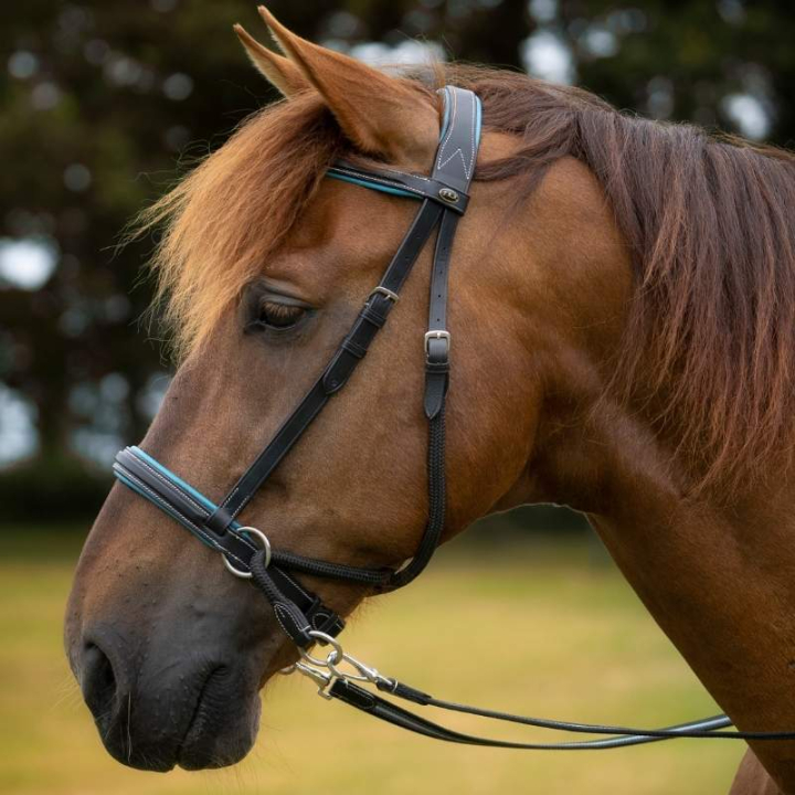Bitloos Hoofdstel Dietsji Cross-Under Zwart/Blauw in de groep Paardenuitrusting / Hoofdstellen & Frontriemen / Hackamore & Bitloze Hoofdstellen bij Equinest (3351221724BABL_r)