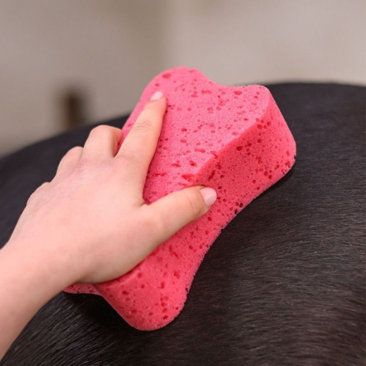 Spons Roze in de groep Paardenverzorging en Verzorging / Was sponsen & Poetsdoeken bij Equinest (375104PI)