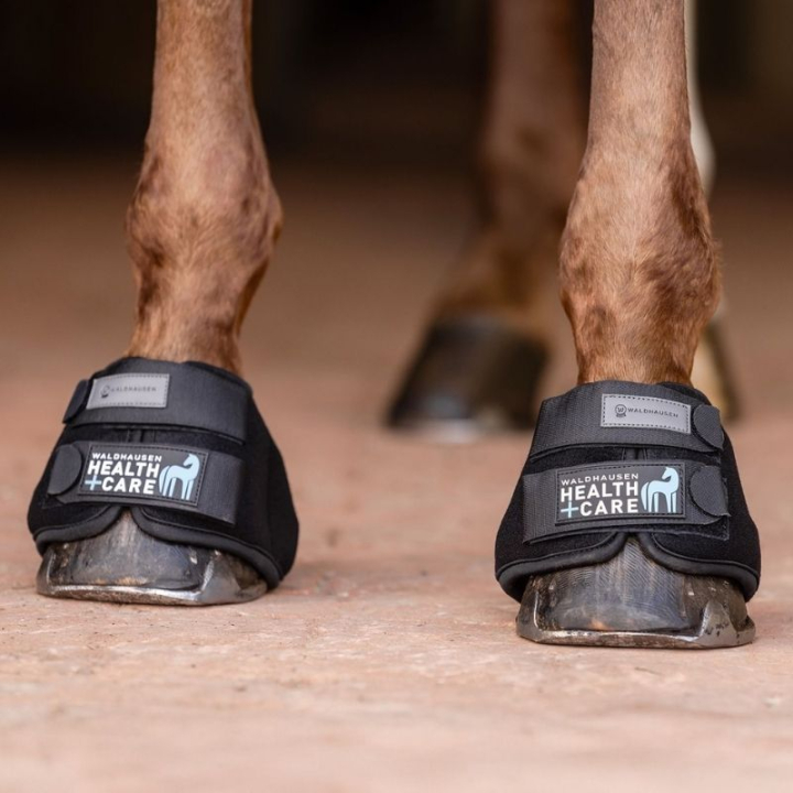 Koelhoefschoenen Cooling Zwart in de groep Paardenuitrusting / Beenbeschermers & Bandages / Springschoenen bij Equinest (3753101SBA_r)