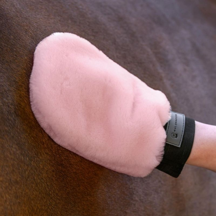 Poetshandschoen Lucky Lambskin Roze in de groep Paardenverzorging en Verzorging / Borstels / Verzorgingshandschoenen bij Equinest (3835732PI)