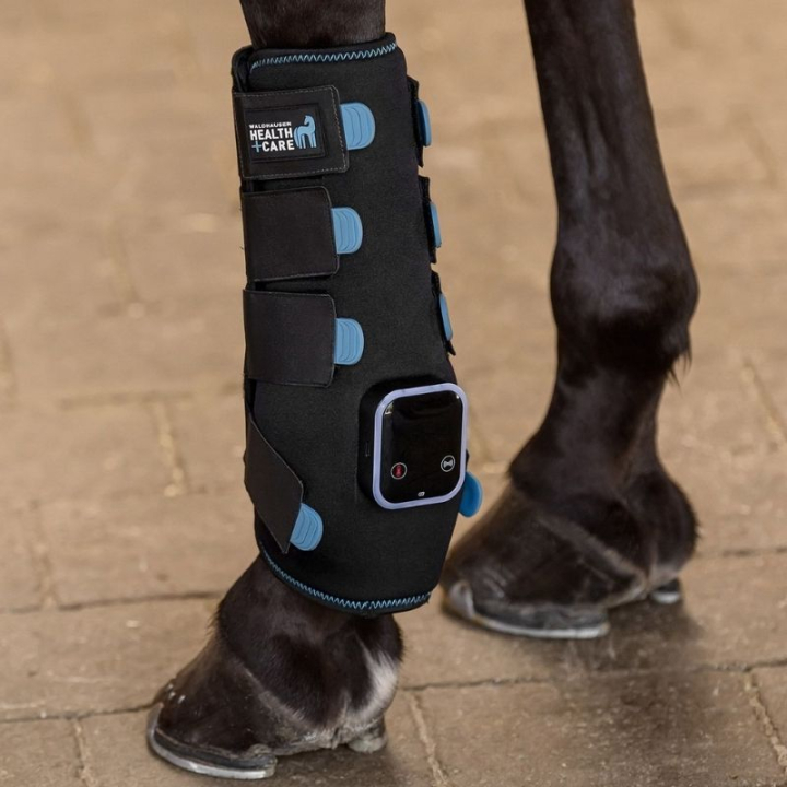 Therapiebeschermer TecSupreme Zwart in de groep Paardenverzorging en Verzorging / Massage & Bloedcirculatie bij Equinest (389601BA)