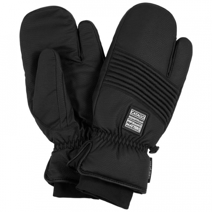 Winterwanten Alloy Zwart in de groep Rijkleding / Handschoenen bij Equinest (39141001BA)