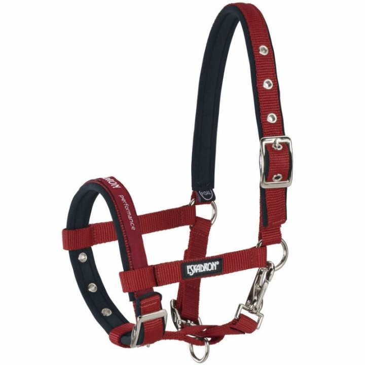 Veulenhalster Foal Rood in de groep Paardenuitrusting / Halsters / Veulen Halters bij Equinest (413000812950RE)