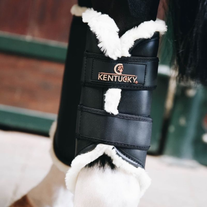 Beenbeschermers Leather Hind Zwart in de groep Paardenuitrusting / Beenbeschermers & Bandages / Beenbeschermers & Dressuurbeschermers bij Equinest (4230401FBA_r)