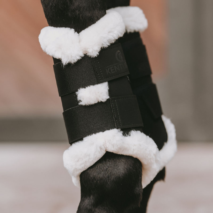 Beenbeschermers Air Zwart in de groep Paardenuitrusting / Beenbeschermers & Bandages / Beenbeschermers & Dressuurbeschermers bij Equinest (42309Sv_r)