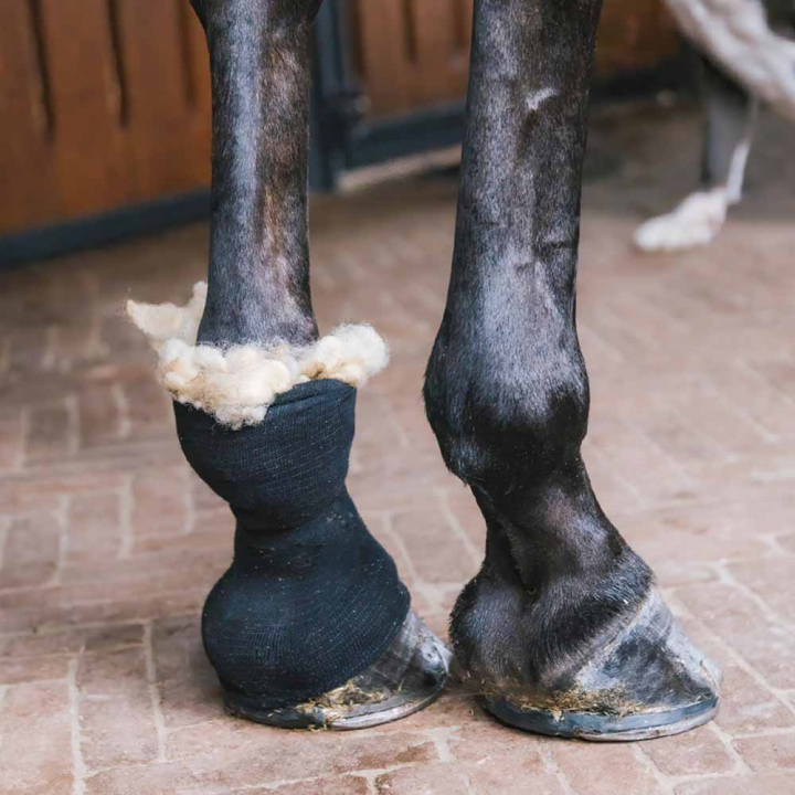 Wol Therapeutic 150g Natuur in de groep Paardenverzorging en Verzorging / Massage & Bloedcirculatie bij Equinest (42427NAT)