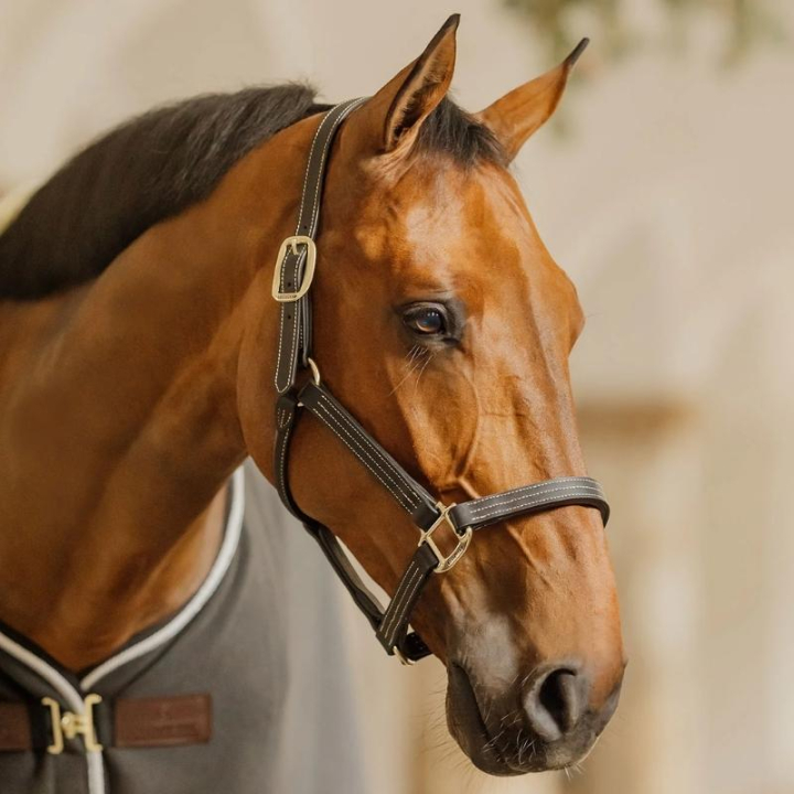 Leren halster Artificial Wellington Zwart in de groep Paardenuitrusting / Halsters / Leren Halsters bij Equinest (4250701COBBA_r)