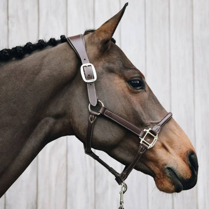 Anatomisch Kunstleder Halster Bruin in de groep Paardenuitrusting / Halsters / Leren Halsters bij Equinest (42513Br_r)