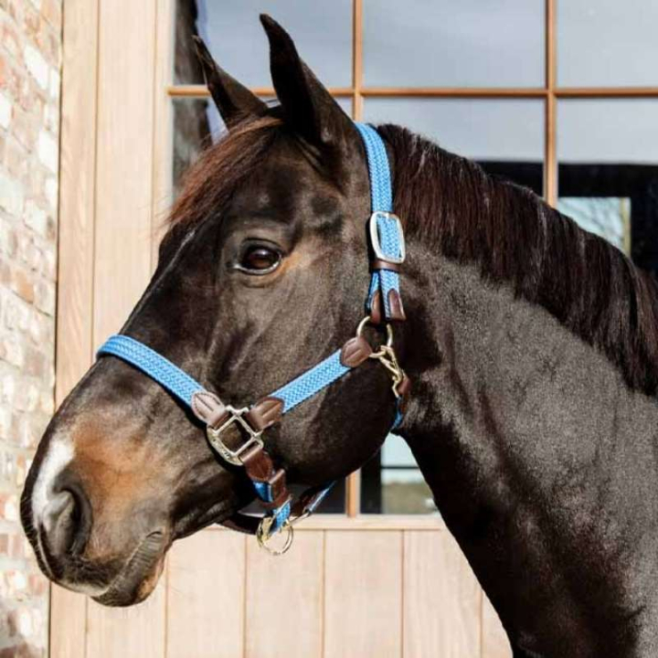 Halster Plaited Nylon Lichtblauw in de groep Paardenuitrusting / Halsters / Stof- & Nylon Halsters bij Equinest (4251661COBLBL_r)