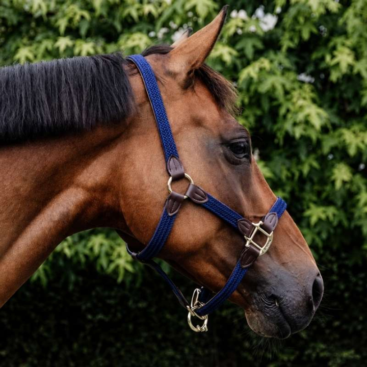 Gevlochten Nylon Halster Marineblauw in de groep Paardenuitrusting / Halsters / Stof- & Nylon Halsters bij Equinest (42516Ma_r)