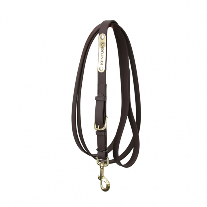Leren halster Presentation Artificial Bruin in de groep Paardenuitrusting / Halstertouwen & Transport Halstertouwen / Leren Halstertouwen bij Equinest (425270503BR)