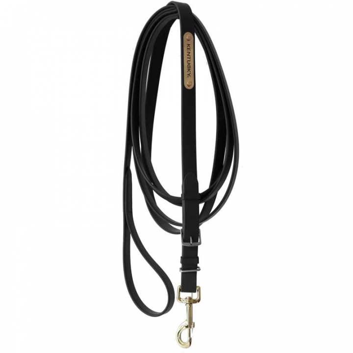 Hengst Leid Touw 4m Zwart in de groep Paardenuitrusting / Halstertouwen & Transport Halstertouwen / Leren Halstertouwen bij Equinest (42530SV)