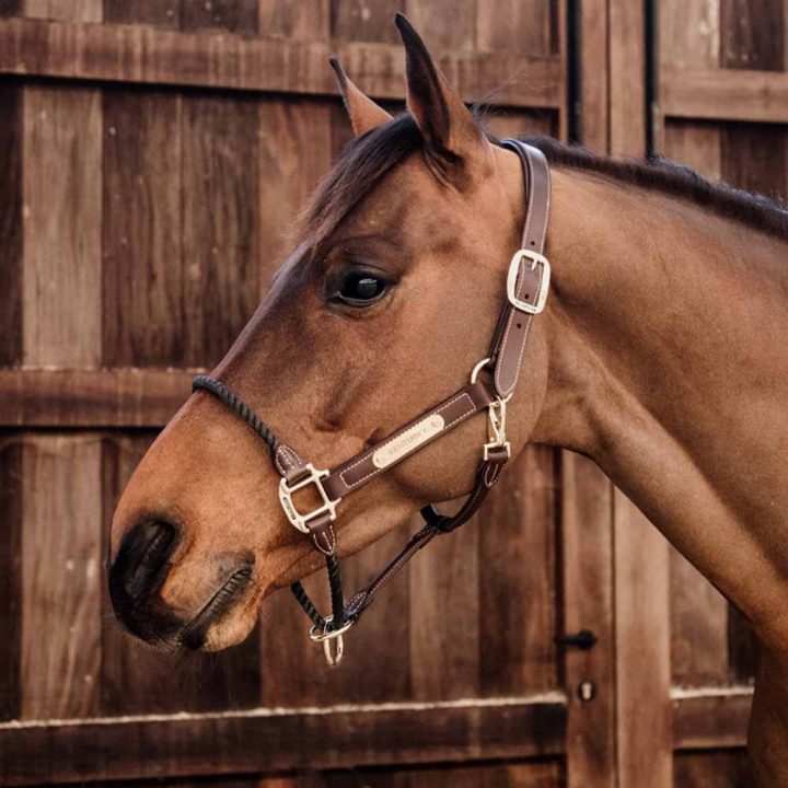 Leren halster Rope Artificial Bruin in de groep Paardenuitrusting / Halsters / Leren Halsters bij Equinest (4254005COBBR_r)