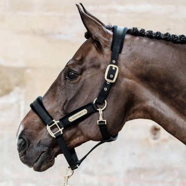 Halster Velvet Zwart in de groep Paardenuitrusting / Halsters / Stof- & Nylon Halsters bij Equinest (4255801COBBA_r)