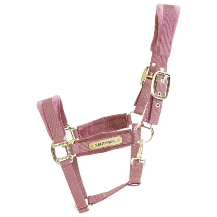 Halster Velvet Oudroze in de groep Paardenuitrusting / Halsters / Stof- & Nylon Halsters bij Equinest (4255810COBOPI_r)