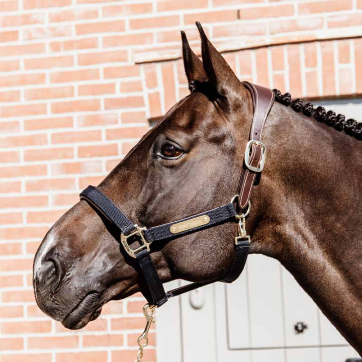 Halster Anatomic Nylon Marineblauw in de groep Paardenuitrusting / Halsters / Stof- & Nylon Halsters bij Equinest (4256003COBNA_r)