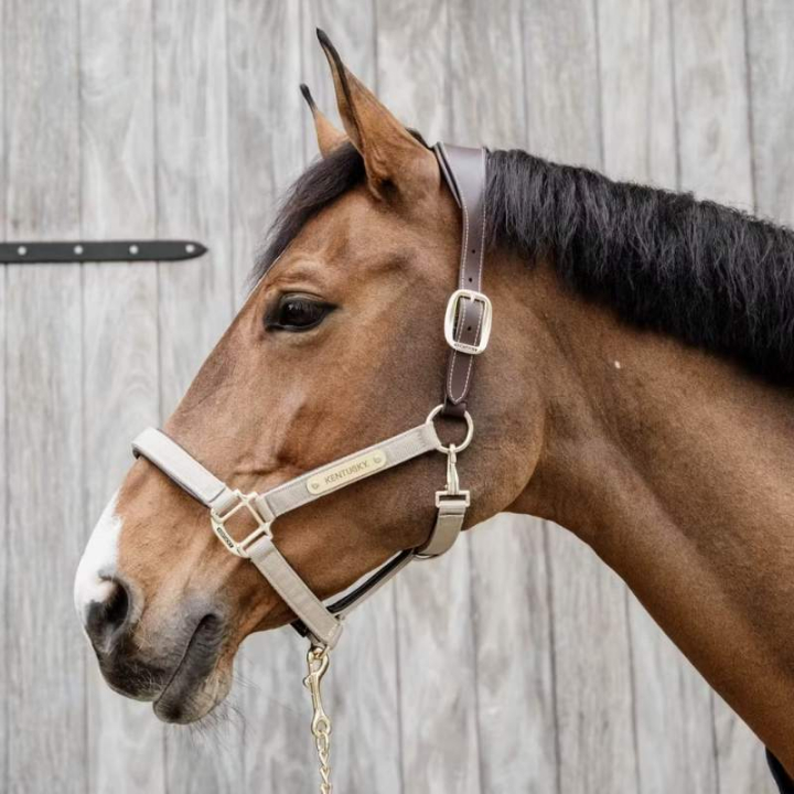Halster Anatomic Nylon Beige in de groep Paardenuitrusting / Halsters / Stof- & Nylon Halsters bij Equinest (4256032COBBE_r)