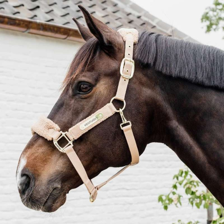Halster Teddy Fleece Beige in de groep Paardenuitrusting / Halsters / Stof- & Nylon Halsters bij Equinest (4257332COBBE_r)