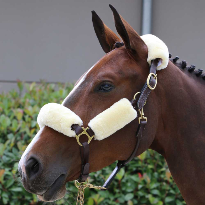 Sheepskin-set voor Halster Natur in de groep Paardenuitrusting / Hoofdstellen & Frontriemen / Neuspluis & Nevelpluis bij Equinest (42603NA)