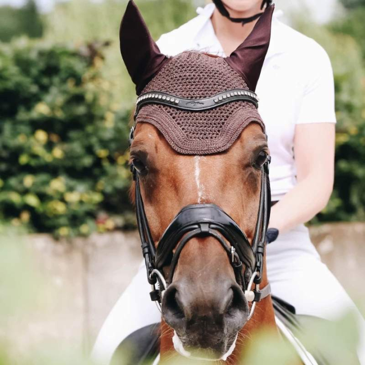 Oornetje Wellington Sparkling Bruin in de groep Paardenuitrusting / Oornetjes bij Equinest (4261005FBR_r)