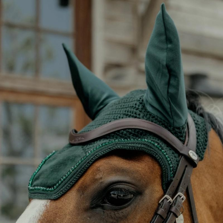 Oornetjes Wellington Velvet Pearls Groen in de groep Paardenuitrusting / Oornetjes bij Equinest (4262903PGN)