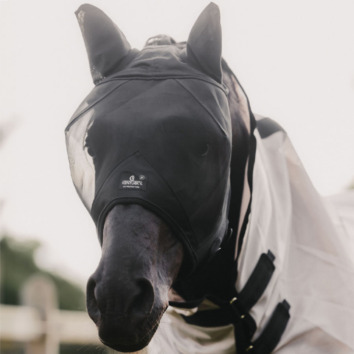Vliegenmasker Classic met Oren Zwart in de groep Vliegbescherming / Vliegenmaskers bij Equinest (42646BA)