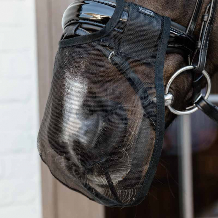Neusnet Anti Fly Zwart in de groep Paardenuitrusting / Hoofdstellen & Frontriemen / Treinaccessoires bij Equinest (4266301FBA_r)