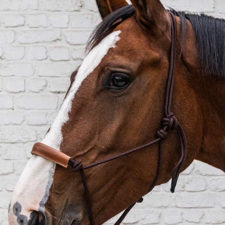 Touwhalster Grooming Deluxe Bruin in de groep Paardenuitrusting / Halsters / Veulen Halters bij Equinest (4268605COBBR_r)