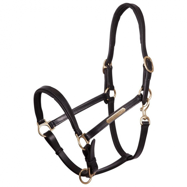 Leren Halster Padded Zwart/Brass in de groep Paardenuitrusting / Halsters / Leren Halsters bij Equinest (431108BA)