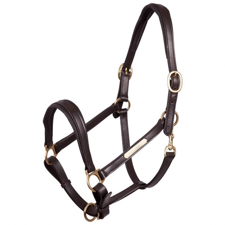 Leren Halster Padded Bruin/Brass in de groep Paardenuitrusting / Halsters / Leren Halsters bij Equinest (431108BR)