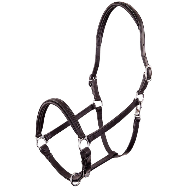 Lederen halster Florennes Zwart in de groep Paardenuitrusting / Halsters / Leren Halsters bij Equinest (431109B00183BA_r)