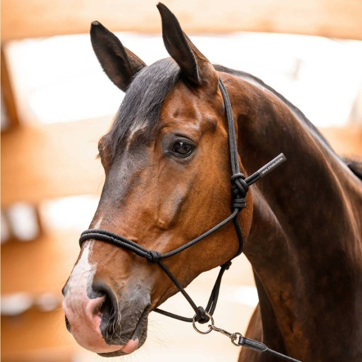Touwhalster Movable Ring Zwart in de groep Paardenuitrusting / Halsters / Touwhalters bij Equinest (5040901PBA_r)