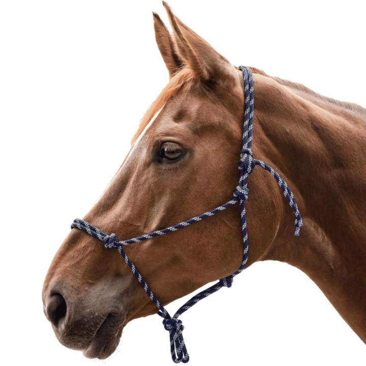 Touwhalster Knotted Marineblauw/Zilver in de groep Paardenuitrusting / Halsters / Touwhalters bij Equinest (50411055NASI_r)