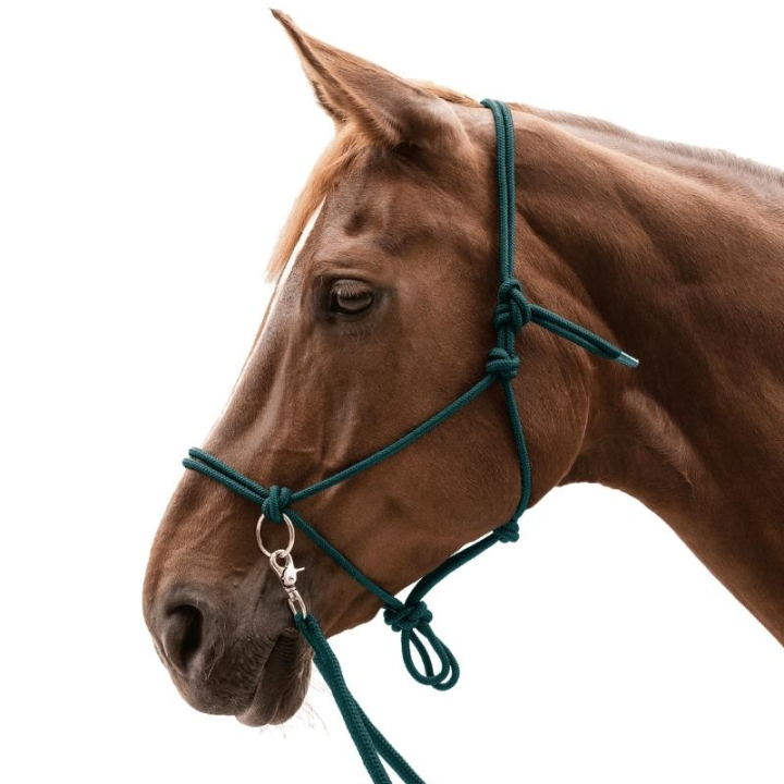 Touwhalster met teugels Knotted Groen in de groep Paardenuitrusting / Halsters / Touwhalters bij Equinest (5041864PGN_r)