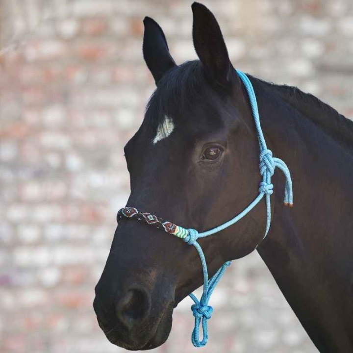 Touwhalster Pearls Blauw in de groep Paardenuitrusting / Halsters / Touwhalters bij Equinest (5043250PBL_r)