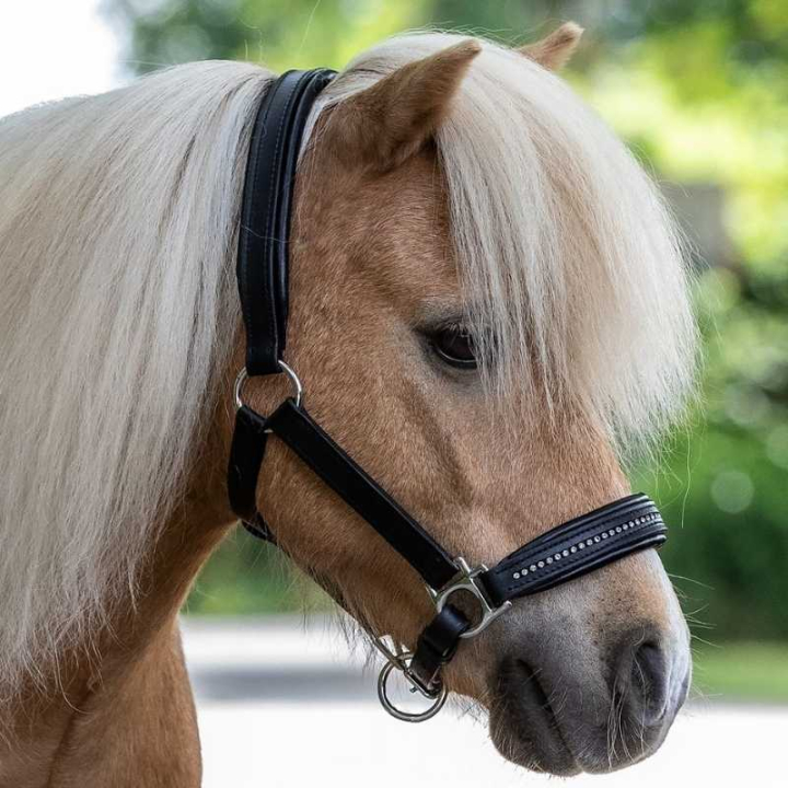 Leren halster Diamond Zwart/Zilver in de groep Paardenuitrusting / Halsters / Leren Halsters bij Equinest (50436101BASI_r)