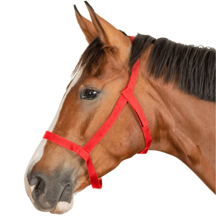 Weidehalster Grazing Rood in de groep Paardenuitrusting / Halsters / Stof- & Nylon Halsters bij Equinest (5045304PRE_r)
