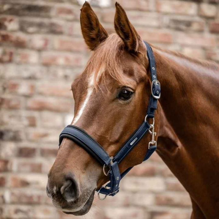 Halster Breath Marineblauw in de groep Paardenuitrusting / Halsters / Stof- & Nylon Halsters bij Equinest (5051605PNA_r)